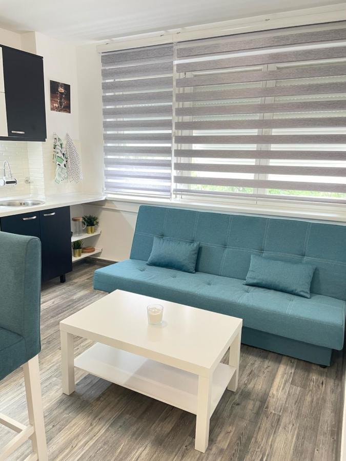 The Blue Velvet Apartment Belgrade Luaran gambar